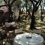 Antico Uliveto Летний дом