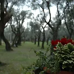 Antico Uliveto *