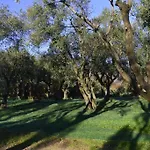 Antico Uliveto Серавецца