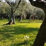 Летний дом Antico Uliveto