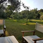 Antico Uliveto Серавецца