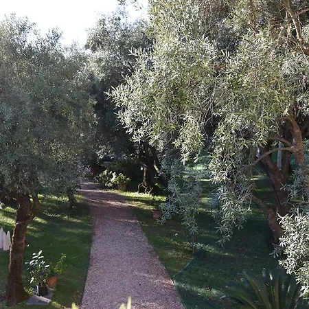 Antico Uliveto Landhuis