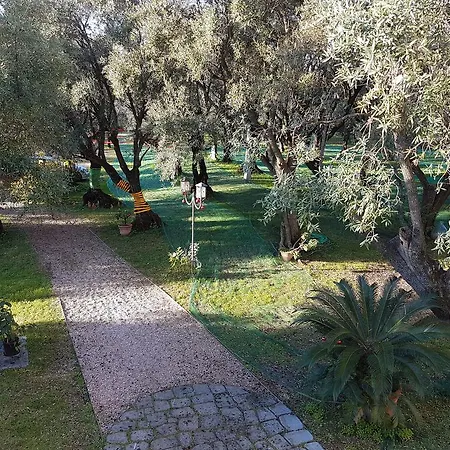 Landhuis Antico Uliveto
