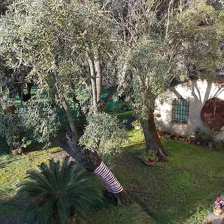 Antico Uliveto Landhuis Seravezza