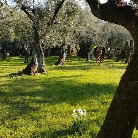 Landhuis Antico Uliveto