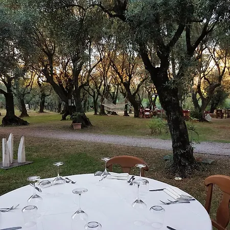 Country house Antico Uliveto