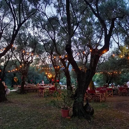 Country house Antico Uliveto *