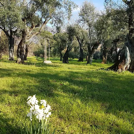 Antico Uliveto Country house Seravezza