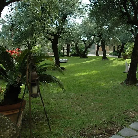 Antico Uliveto * Seravezza