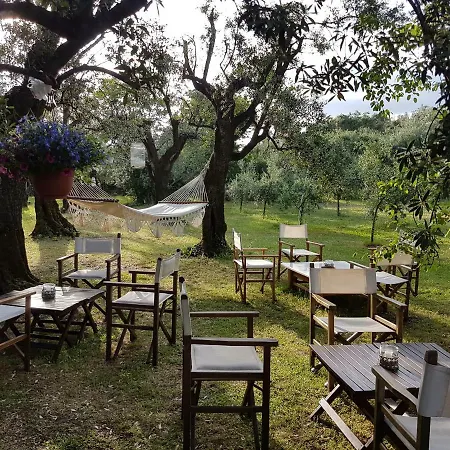 Antico Uliveto Country house *