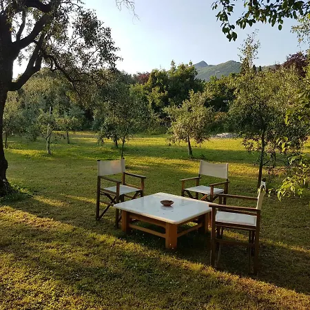 Antico Uliveto Country house